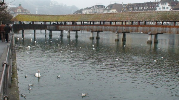 DSC00268.JPG