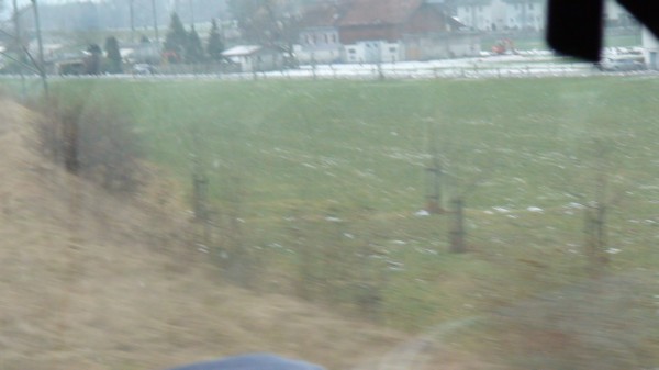 DSC00303.JPG